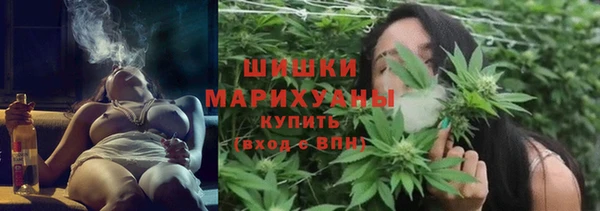 молекула духа Новокубанск