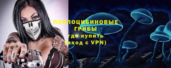 молекула духа Новокубанск